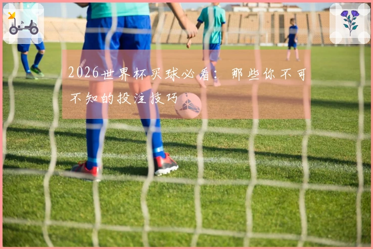 2026世界杯买球必看：那些你不可不知的投注技巧