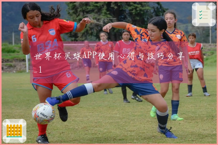 世界杯买球APP使用心得与技巧分享_1