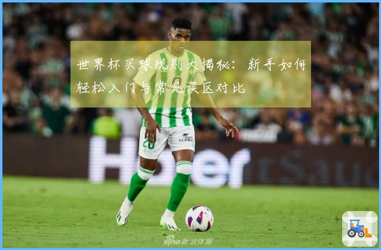 世界杯买球规则大揭秘：新手如何轻松入门与常见误区对比