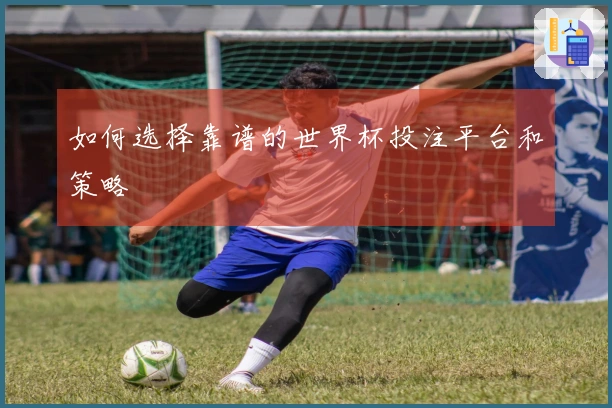 如何选择靠谱的世界杯投注平台和策略