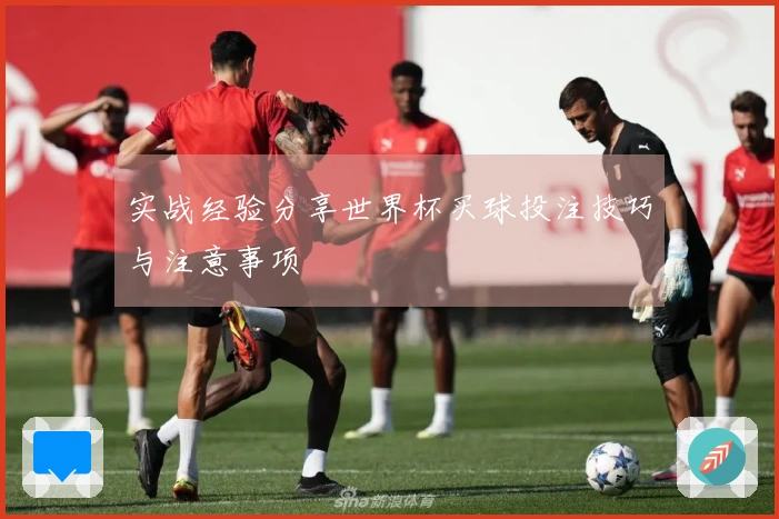 实战经验分享世界杯买球投注技巧与注意事项
