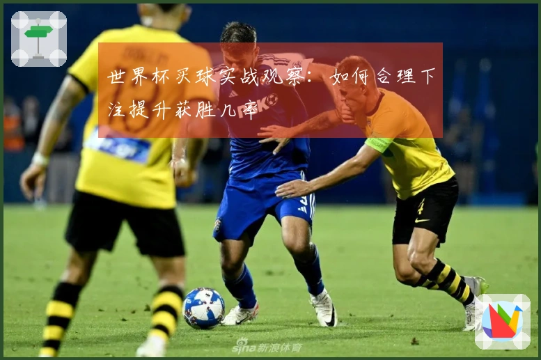 世界杯买球实战观察：如何合理下注提升获胜几率
