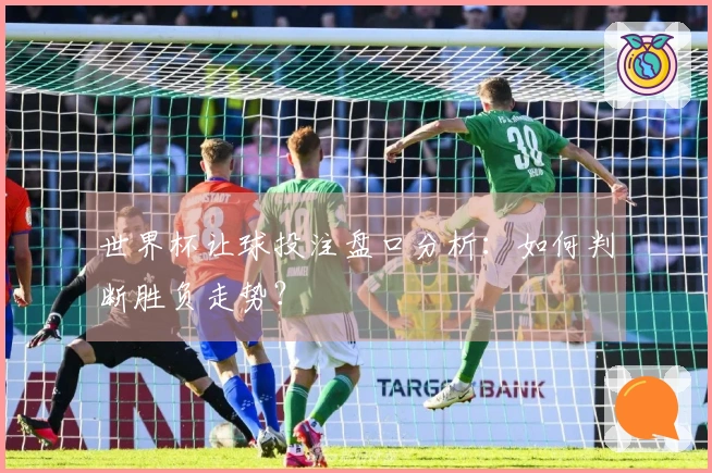 世界杯让球投注盘口分析：如何判断胜负走势？