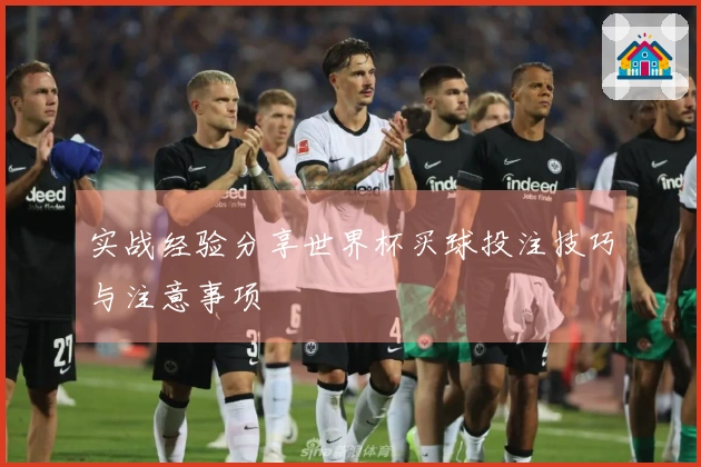 实战经验分享世界杯买球投注技巧与注意事项