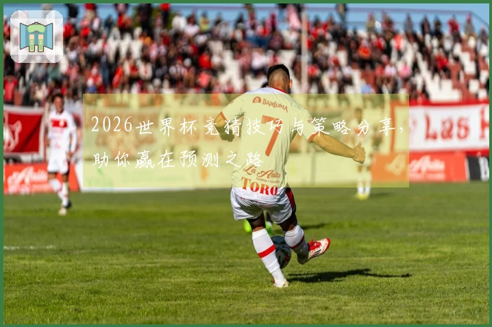 2026世界杯竞猜技巧与策略分享，助你赢在预测之路