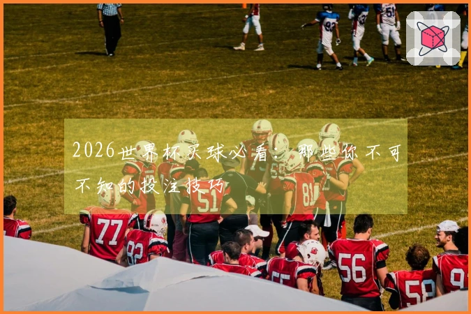2026世界杯买球必看：那些你不可不知的投注技巧